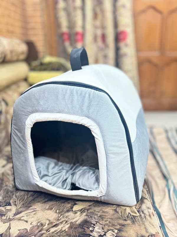 cat warm house new 4