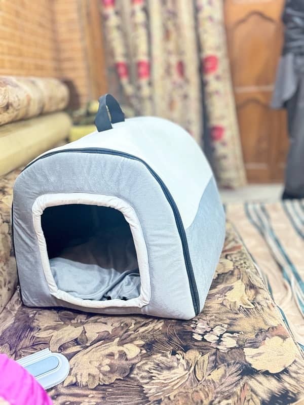 cat warm house new 7