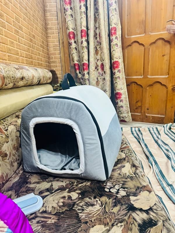 cat warm house new 8