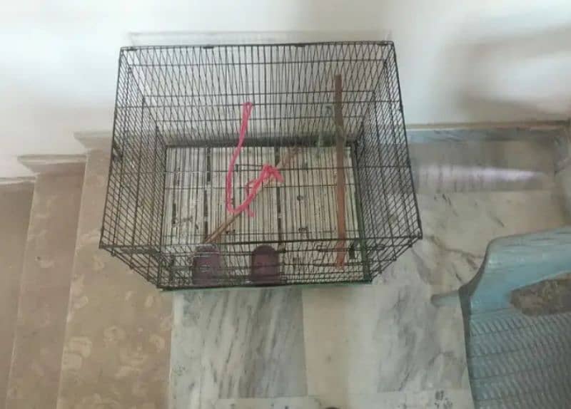 zarrar folding iron cage hard wire content 03199748105 with box 1