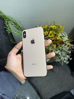 Iphone Xs Max 256GB Waterpack (read ad)