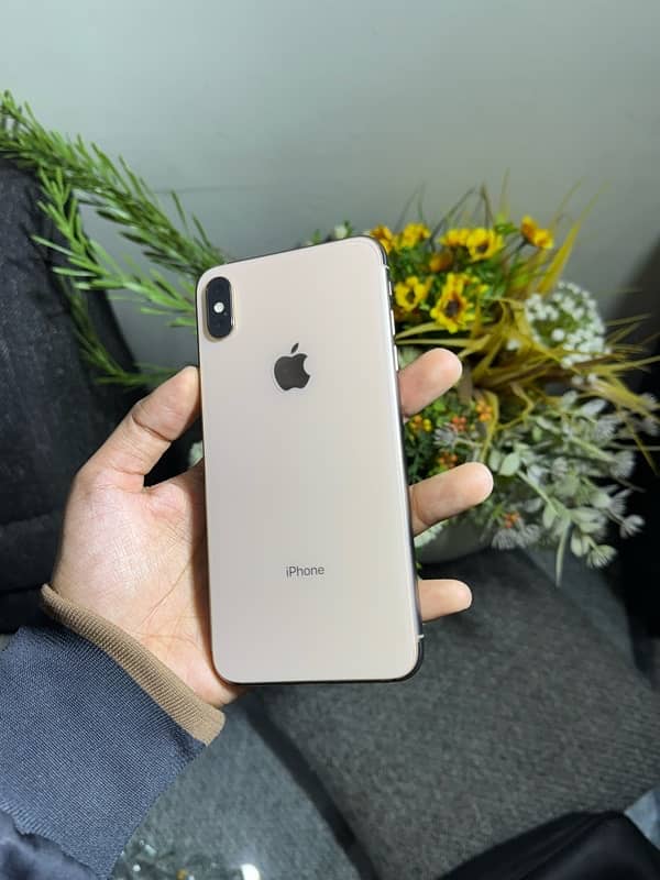 Iphone Xs Max 256GB Waterpack (read ad) 0