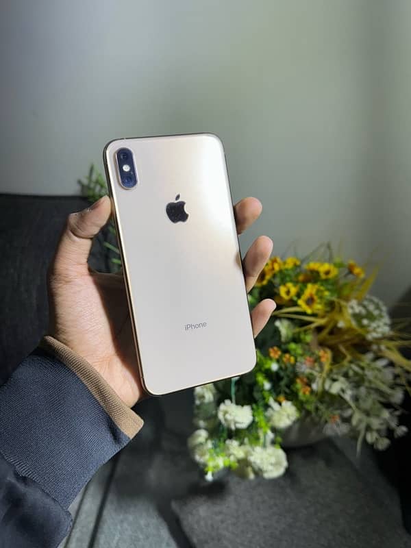 Iphone Xs Max 256GB Waterpack (read ad) 2