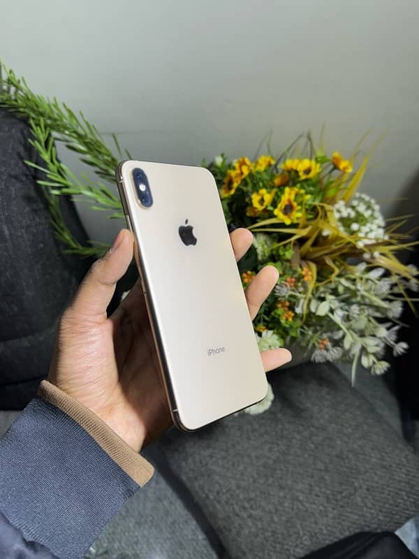 Iphone Xs Max 256GB Waterpack (read ad) 3