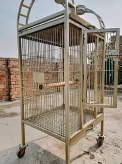 Birds Cage