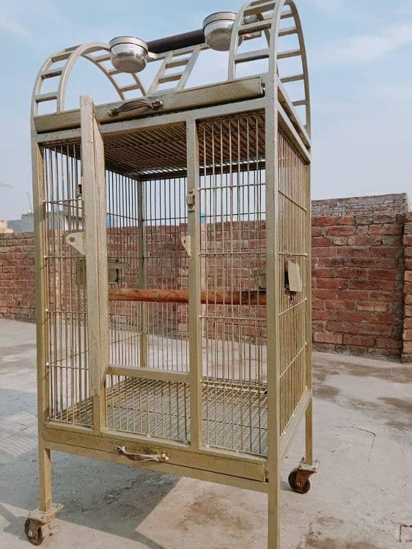 Birds Cage 1