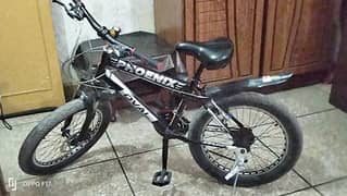 the cycle is in very good condition and used only 1 month phoenix