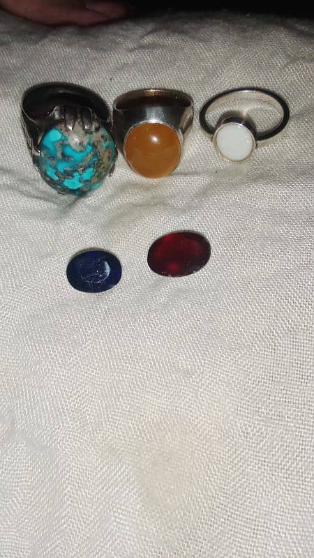 natural collection for sale 8