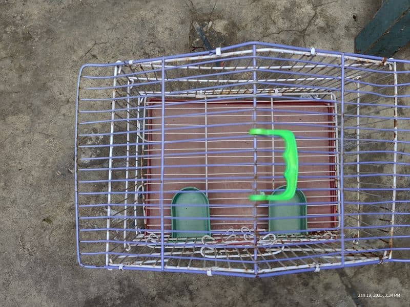 small cage for sale 4