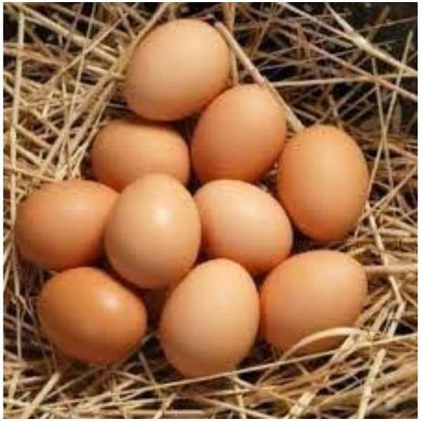 Brown Eggs (دیسی انڈے) 1