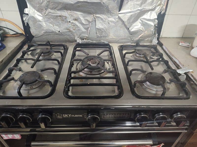 Skyflame Oven with 5 Burner stove 3