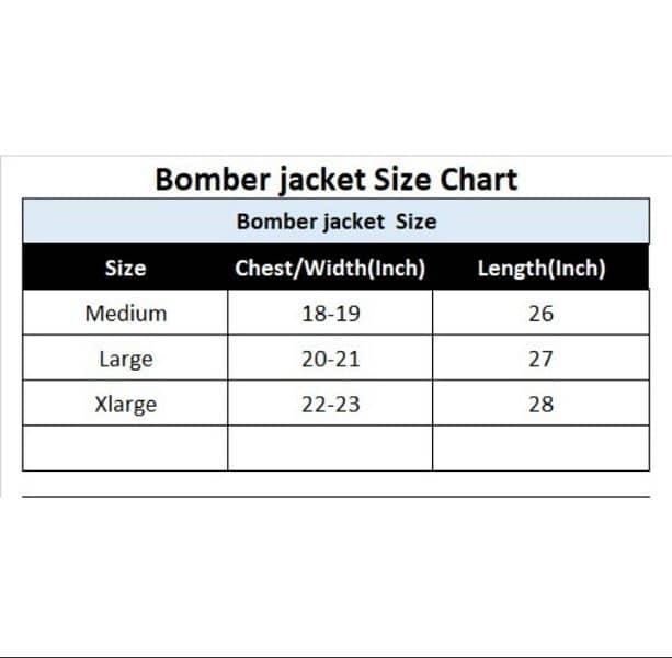 bomber jacket 2