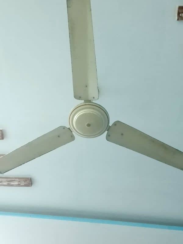 urgent sale beautiful room fan 0