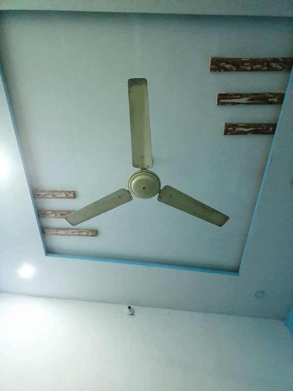 urgent sale beautiful room fan 1