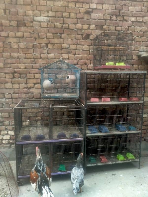 Cage For sale 0