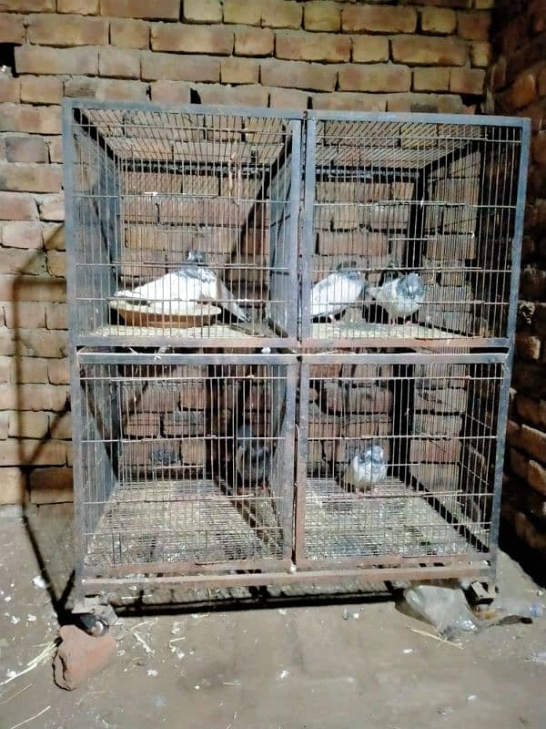 Cage For sale 1