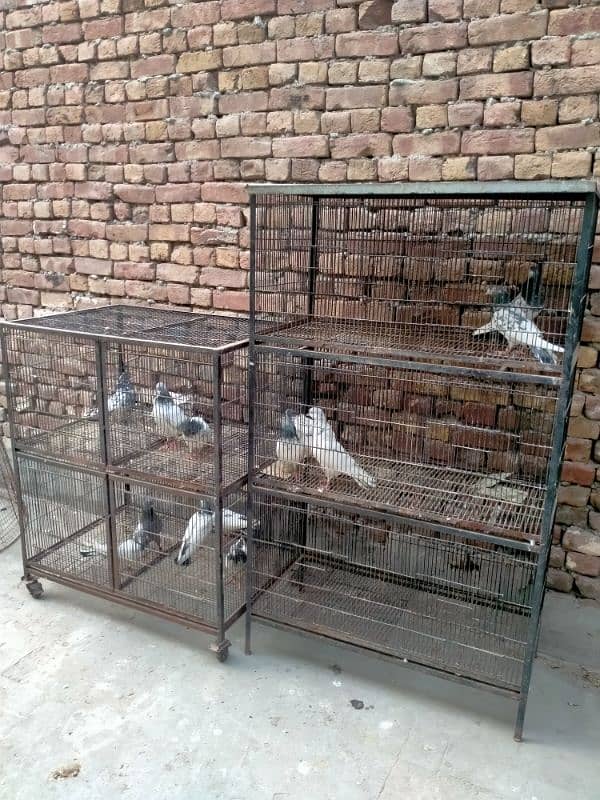 Cage For sale 2