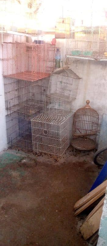 parrots cages for sale 4