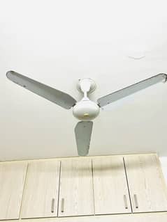 Orient 5 Ceiling Fans