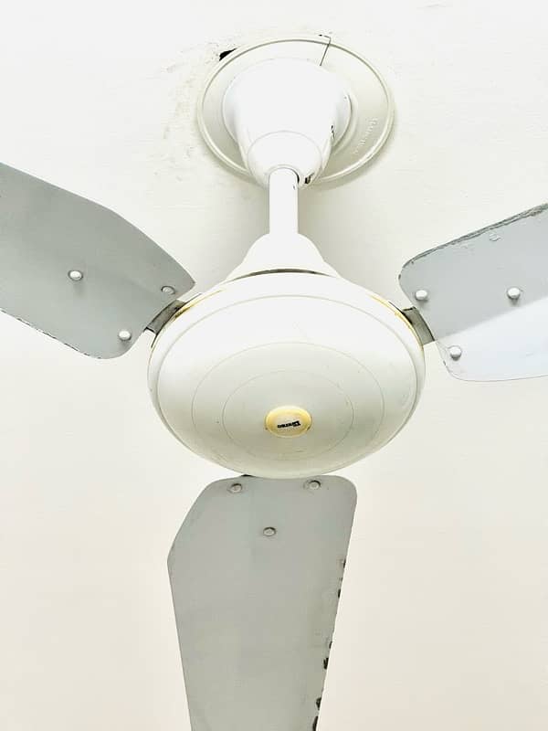 Orient 5 Ceiling Fans 1