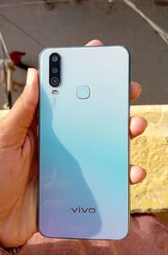 Vivo