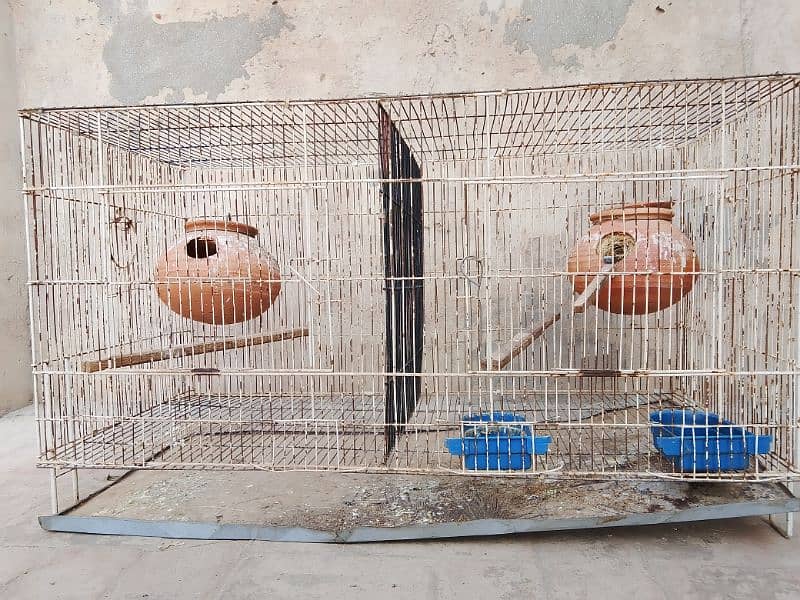 cages for sell 03181569575 0