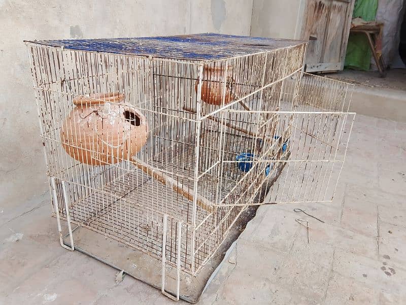 cages for sell 03181569575 1