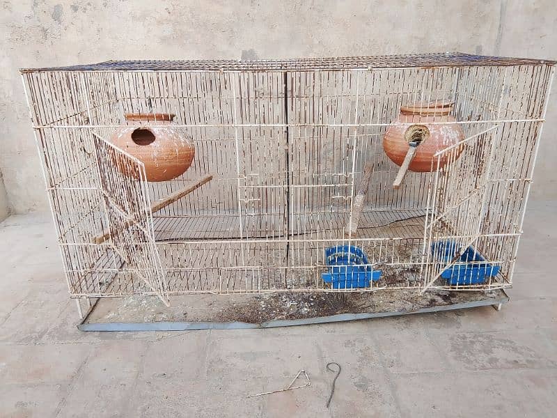 cages for sell 03181569575 3