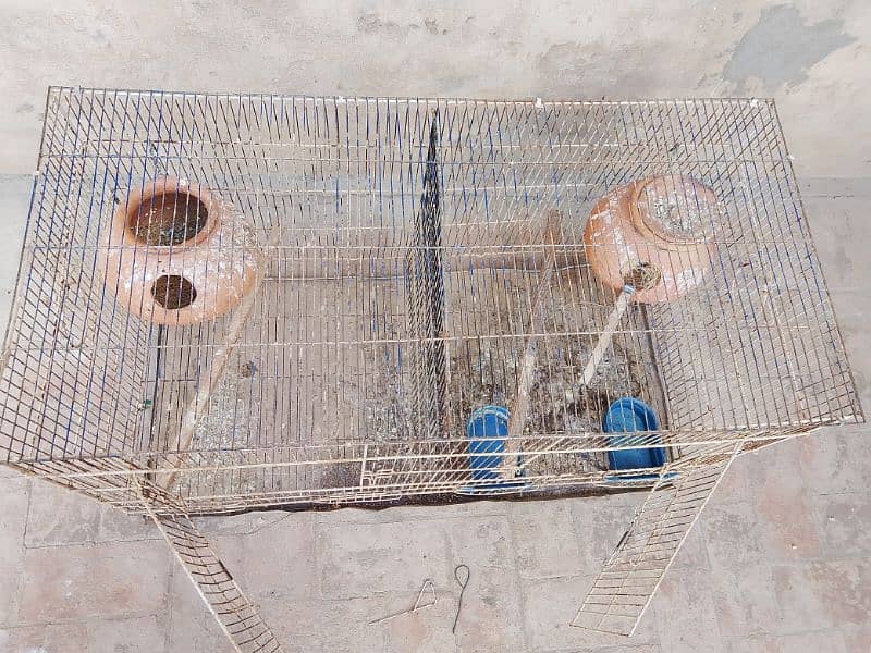 cages for sell 03181569575 4