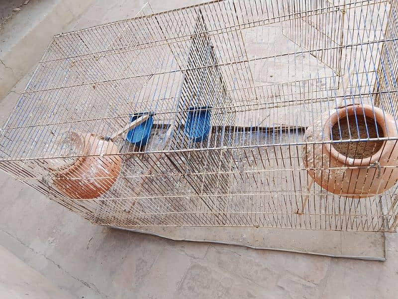 cages for sell 03181569575 5