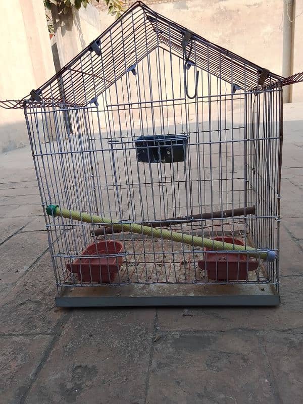 cages for sell 03181569575 6