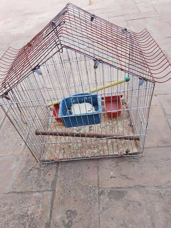 cages for sell 03181569575 9