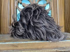 wigs hire for sale