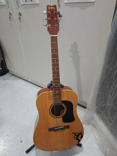 Washburn Accoustic Guitar