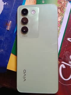 vivo