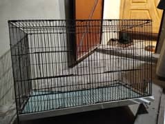 birds folding cage