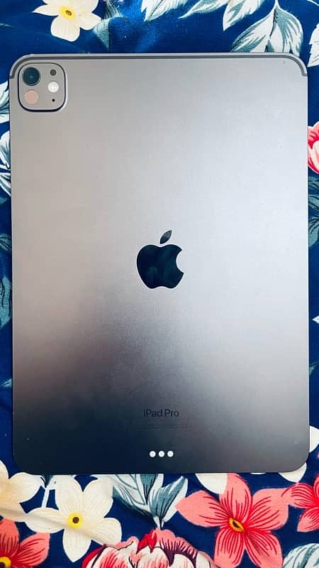 ipad pro M4 11-inch 1