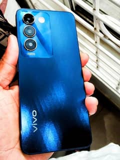 vivo y 100 8+8/ 256 GB