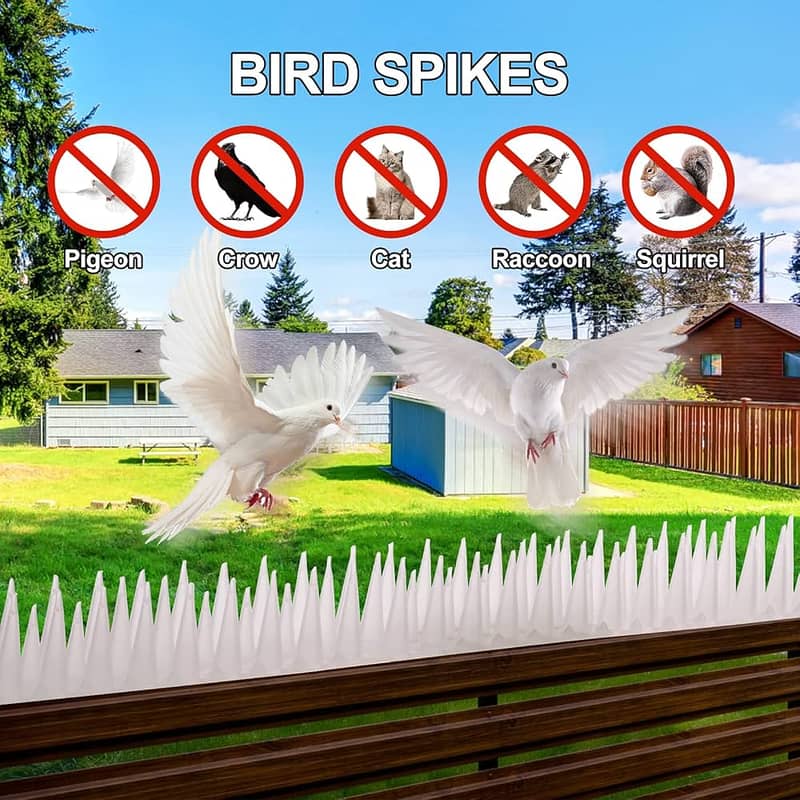 ANTI REPELLENT Bird Spikes Barrier In Pakistan 2