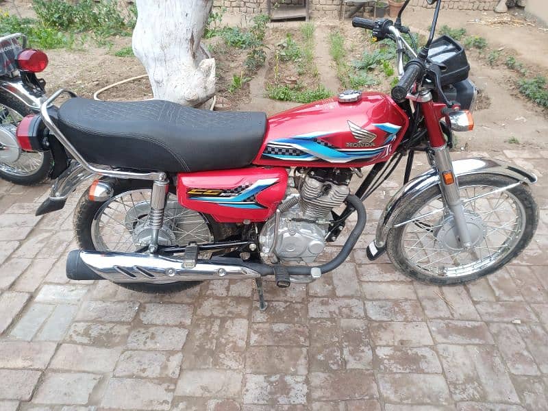 Honda CD 125, 2024 model 3