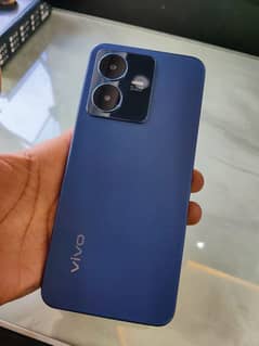 vivo