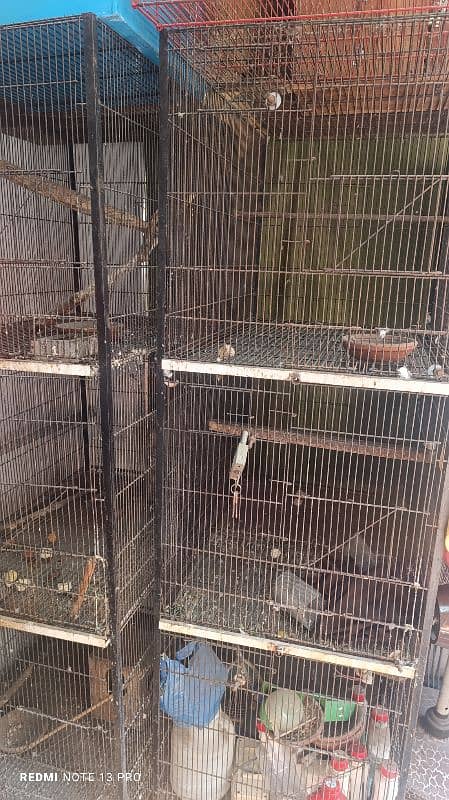 Birds cage / iron cages / cages available for sale / پنجرا 0