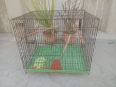 folding cage