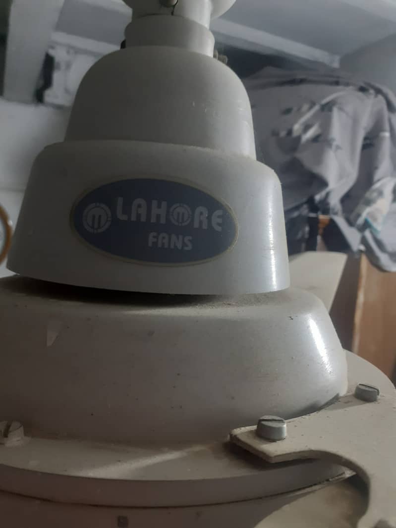 2 fans lahore company 3