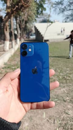 iPhone 12 Mini