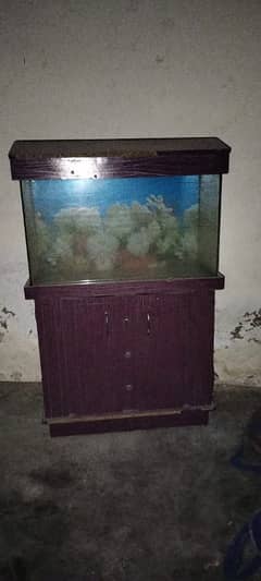 Aquarium Sale