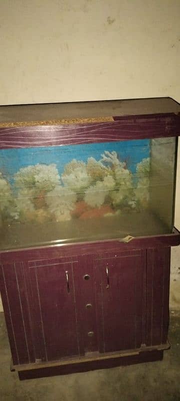 Aquarium Sale 1