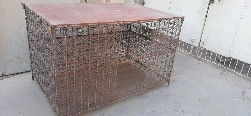 Chicken poultry cage (Pinjra) 1