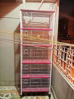 lovebirds cage