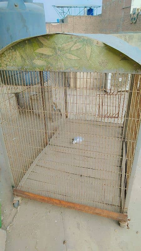 cage for parrots,hens,birds animals 0